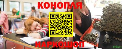 тгк Краснодар