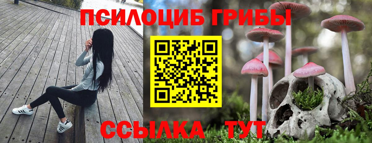 Галлюциногенные грибы GOLDEN TEACHER Сердобск